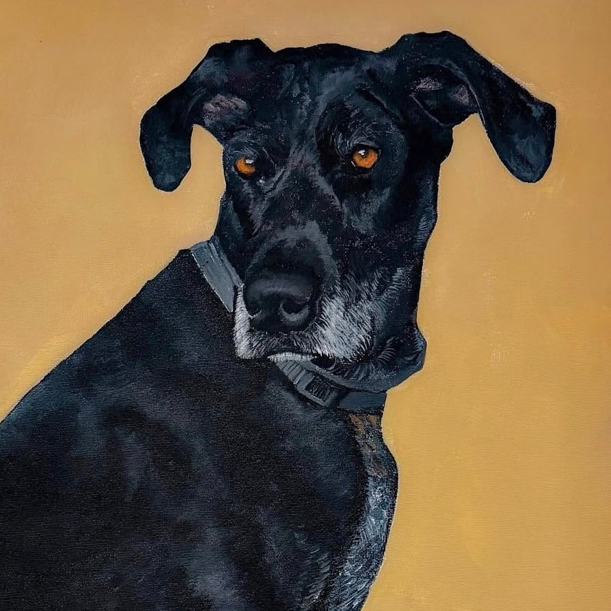 Pet Commissions