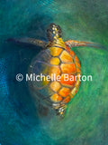 Oil Painting - Sea Turtle 16" by 20"