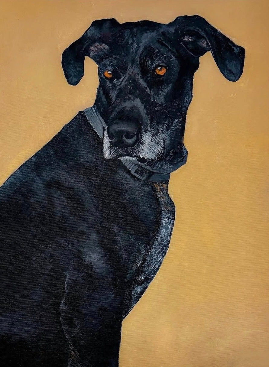 Acrylic Painting - Pet Painting Commission